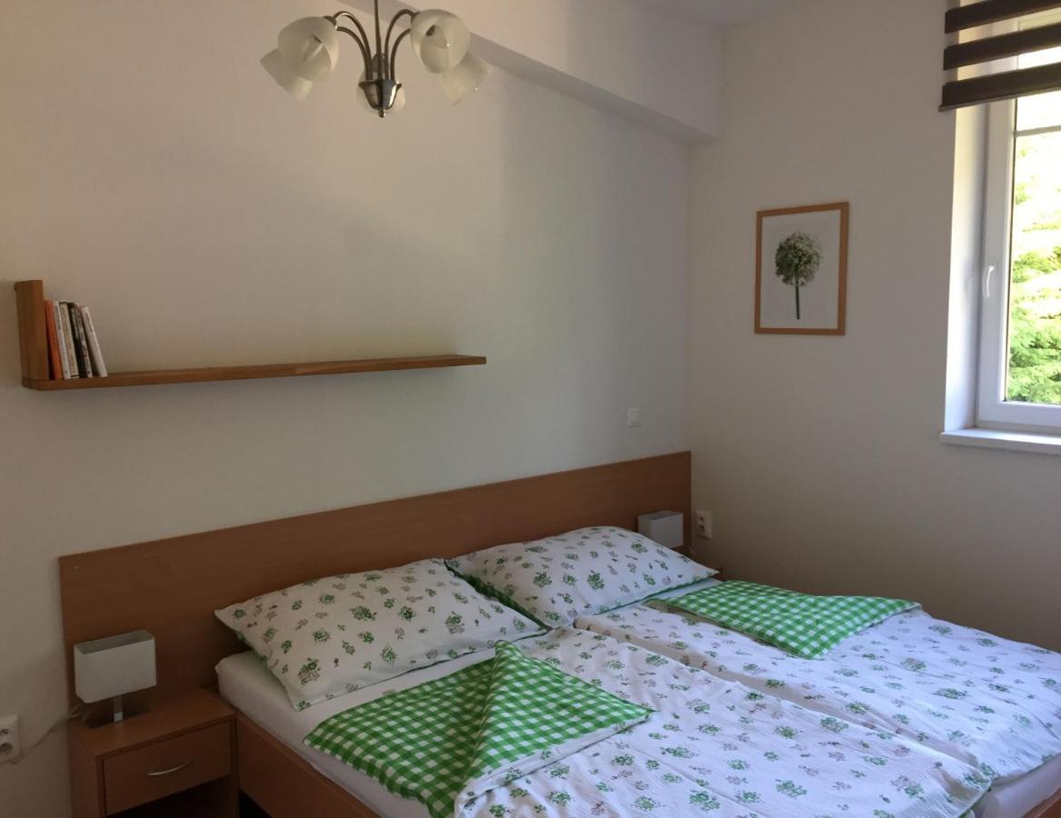 Apartman U Sjezdovky Velké Karlovice Eksteriør billede